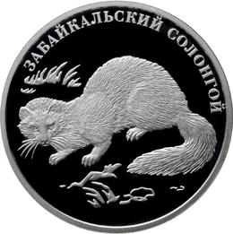 Оборотная сторона (реверс) серебряной памятной монеты номиналом 2 рубля 2012 года "Забайкальский солонгой" из серии "Красная книга"