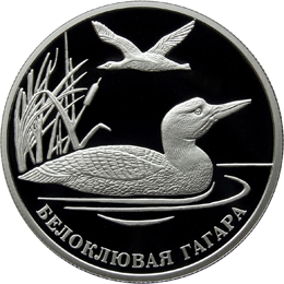 Оборотная сторона (реверс) серебряной памятной монеты достоинством 2 рубля 2012 года "Белоклювая гагара" из серии "Красная книга"