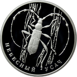 Оборотная сторона (реверс) серебряной памятной монеты номиналом 2 рубля 2012 года "Небесный усач" из серии "Красная книга"